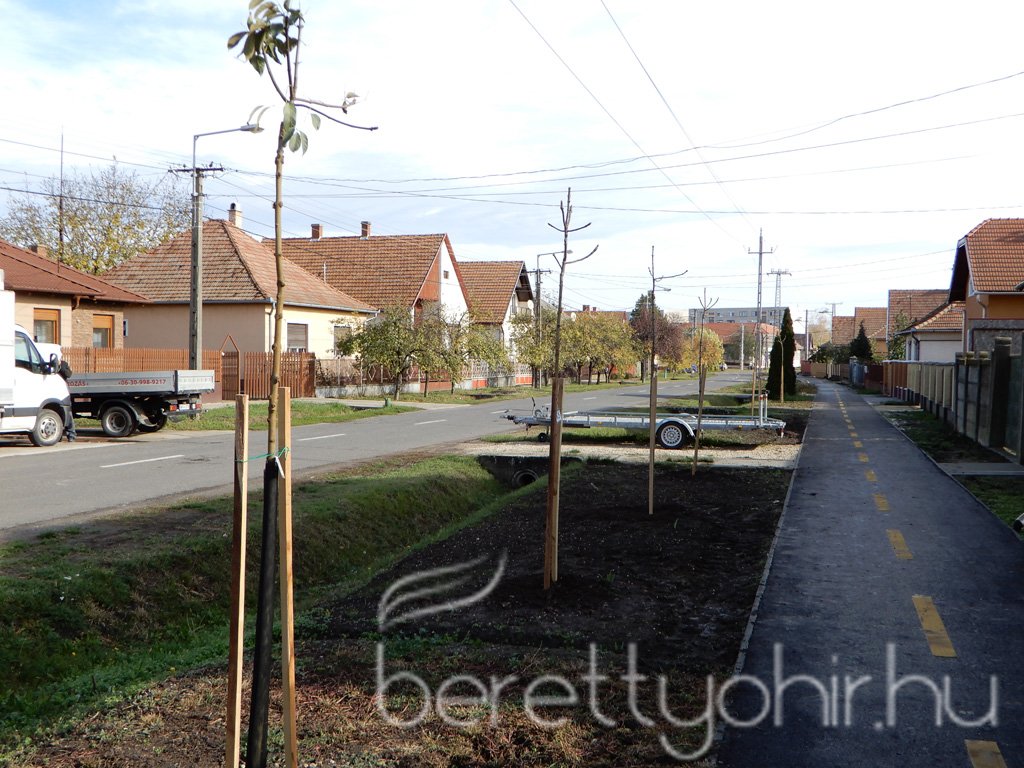 Közösségi faültetés Berettyóújfaluban 94